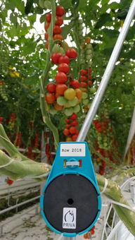 中央政治局定調(diào)明年經(jīng)濟(jì)，2019一號(hào)文件即將發(fā)布聚焦谷物種植