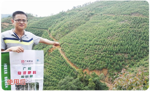 廣東桉樹與果蔬種植的現(xiàn)代化管理工廠模式探析