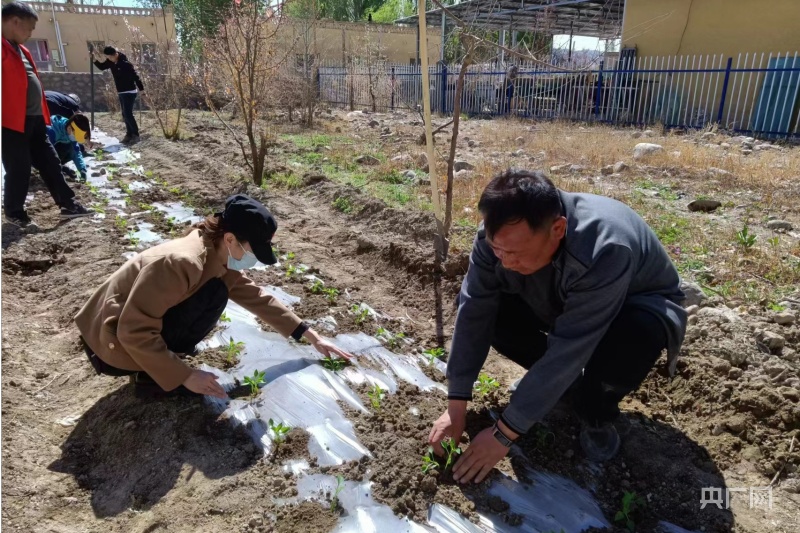強(qiáng)化黨建示范引領(lǐng) 賦能鄉(xiāng)村庭院果蔬產(chǎn)業(yè)發(fā)展