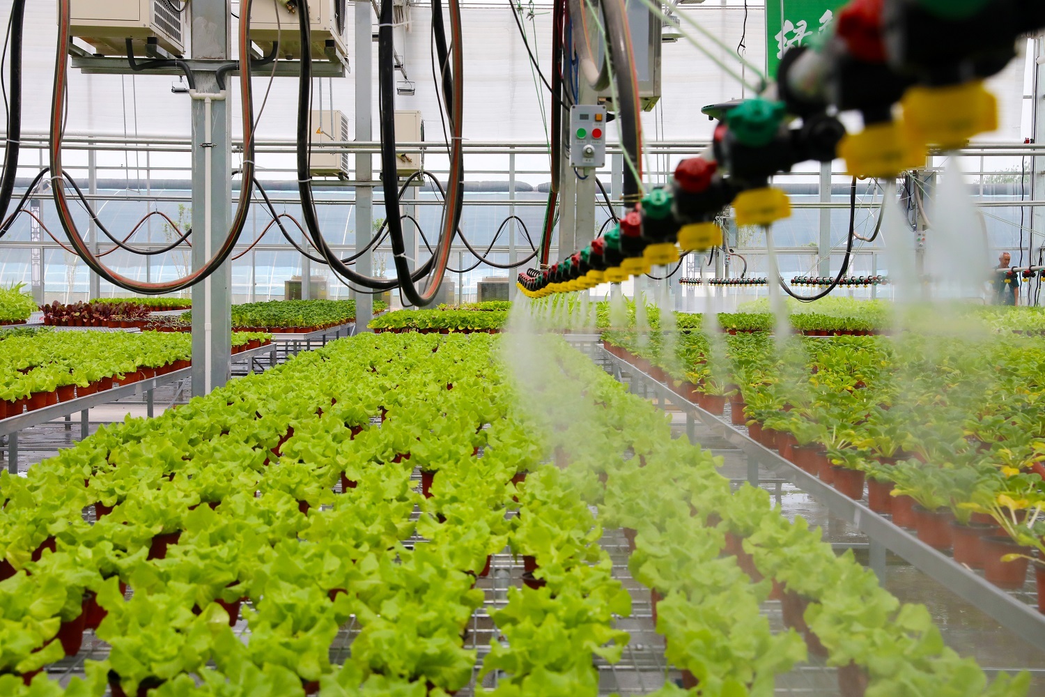 第八屆京津冀蔬菜產(chǎn)業(yè)發(fā)展大會 2000余種農(nóng)產(chǎn)品與創(chuàng)新成果集中展示，盒馬等知名企業(yè)齊聚覓商機(jī)