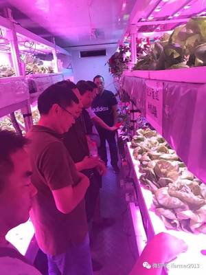 智慧農(nóng)業(yè)新篇章 宿遷市領(lǐng)導(dǎo)參觀旭田植物工廠，共話苗木種植現(xiàn)代化未來